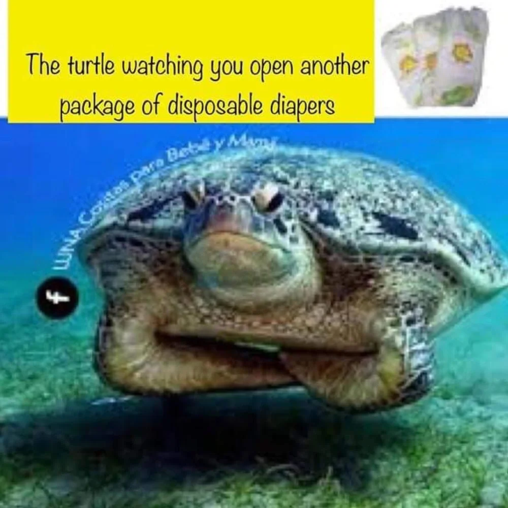 🌱One size cloth diaper 💙👖🧢